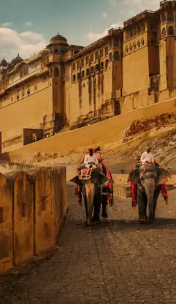 010-INDIA-Delhi-254x440-2026.webp - Pangea Viajes