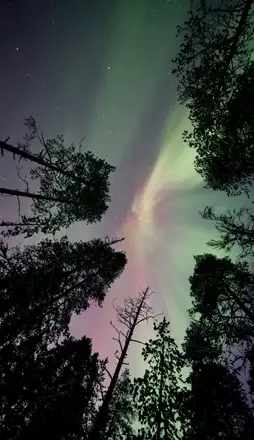 03-FINLANDIA-Rovaniemi-254x440-2026.webp - Pangea Viajes