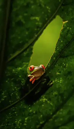 06-COSTA-RICA-San-Jose-254x440-2026.webp - Pangea Viajes