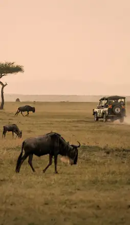 07-Kenia-Navidad-2026.webp - Pangea Viajes