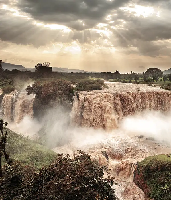 El arca de la alianza