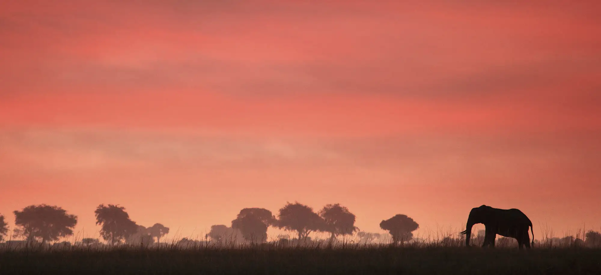 Descubriendo el Namib