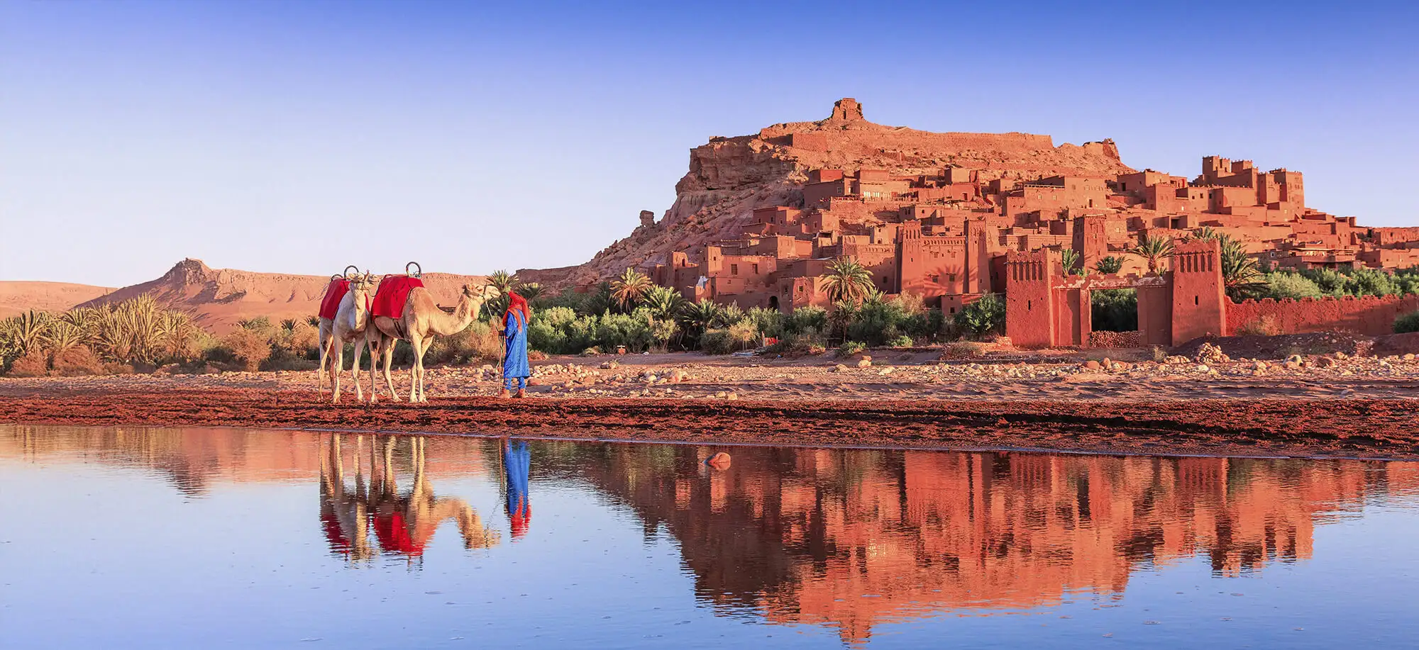 El latido del desierto