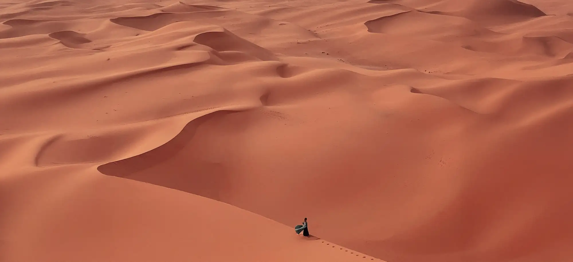 El latido del desierto
