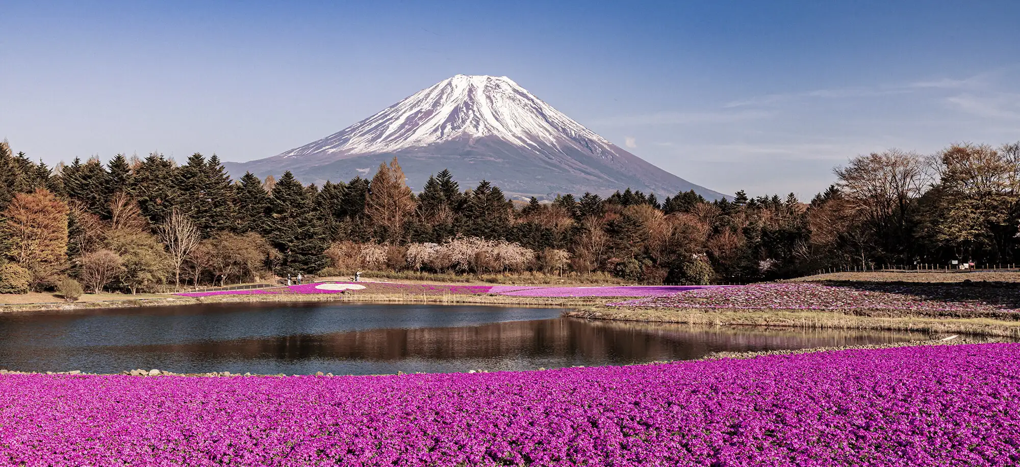 Japón en el mes de las flores