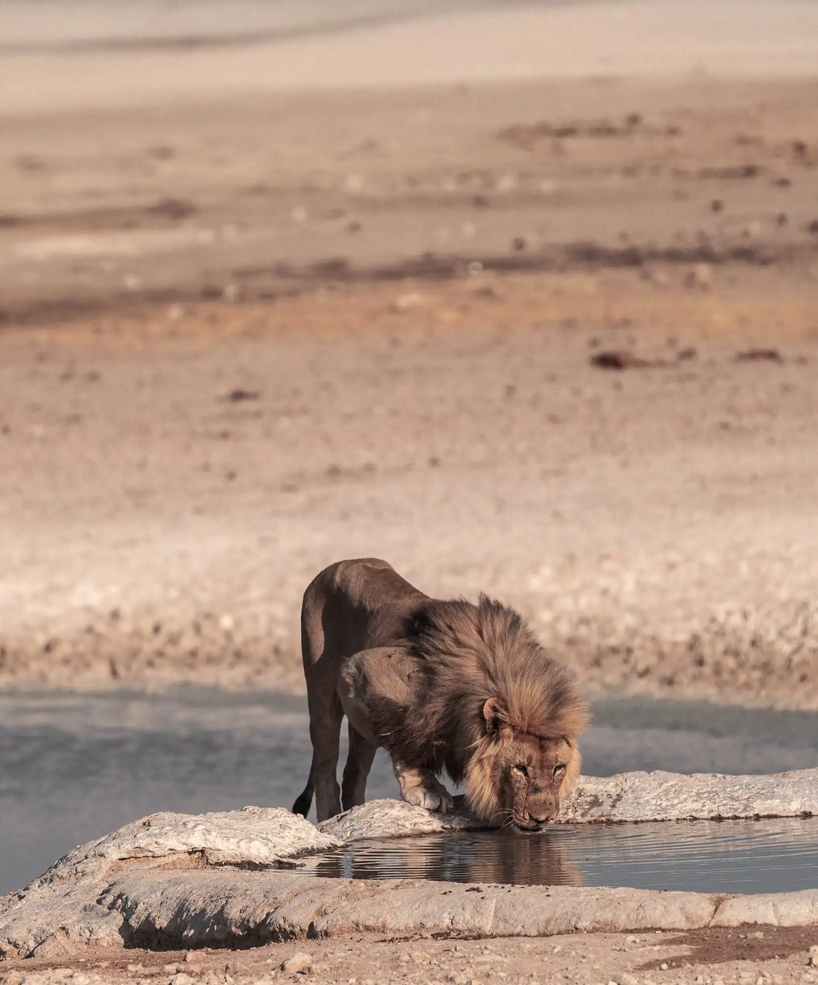 viaje-de-autor-namibia-itinerario.webp - Pangea viajes