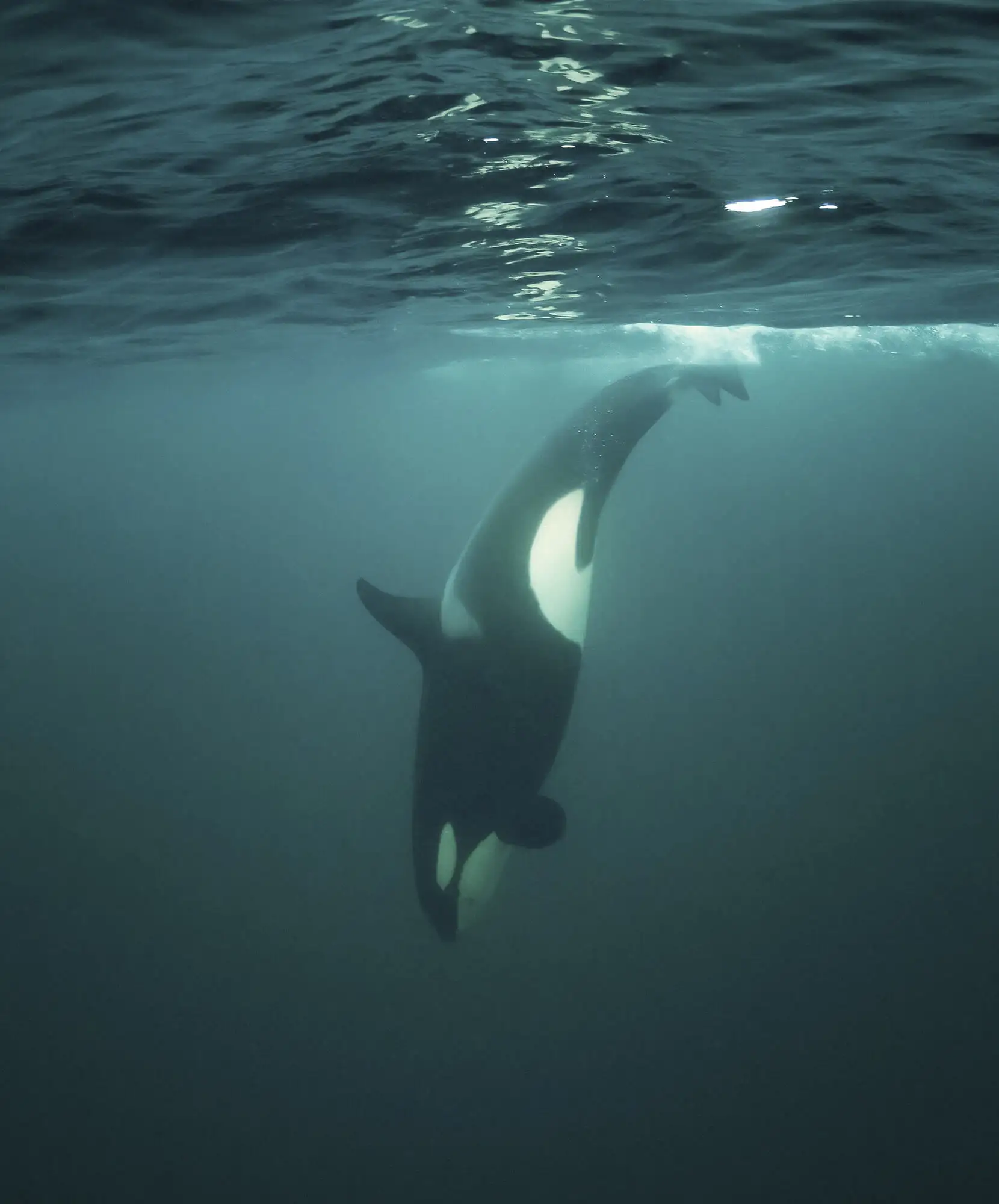 Itinerario.webp - Pangea Viajes