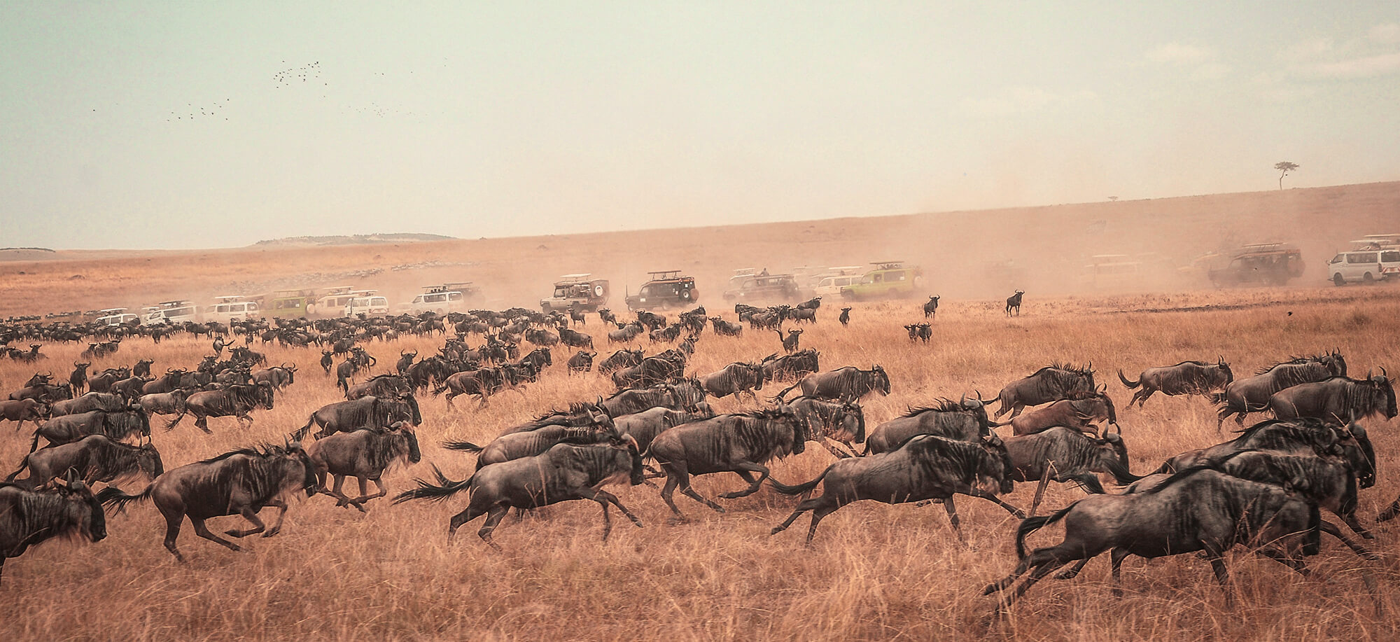 Viatge a Kenya