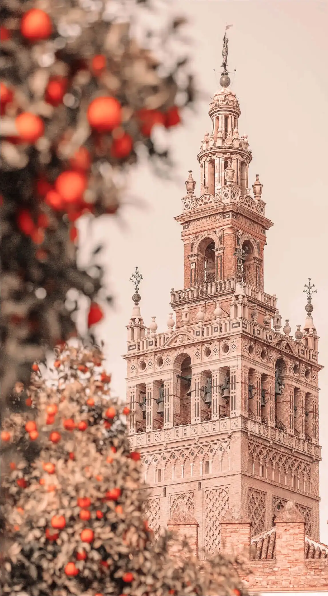 PAISAJES INOLVIDABLES