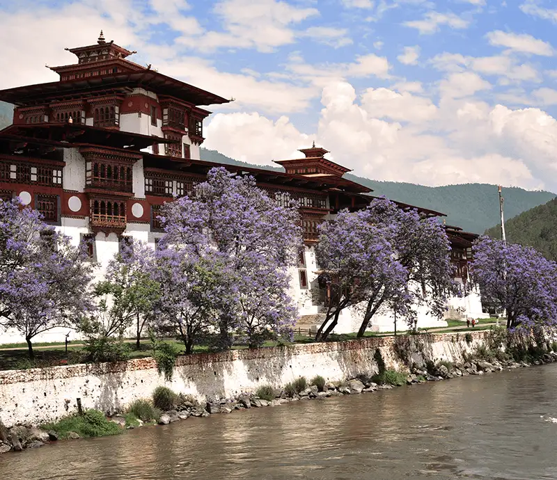Modulo-Cuando-Visitar-BUTAN-Valle-de-Punakha-primavera-templo.webp - Pangea Viajes