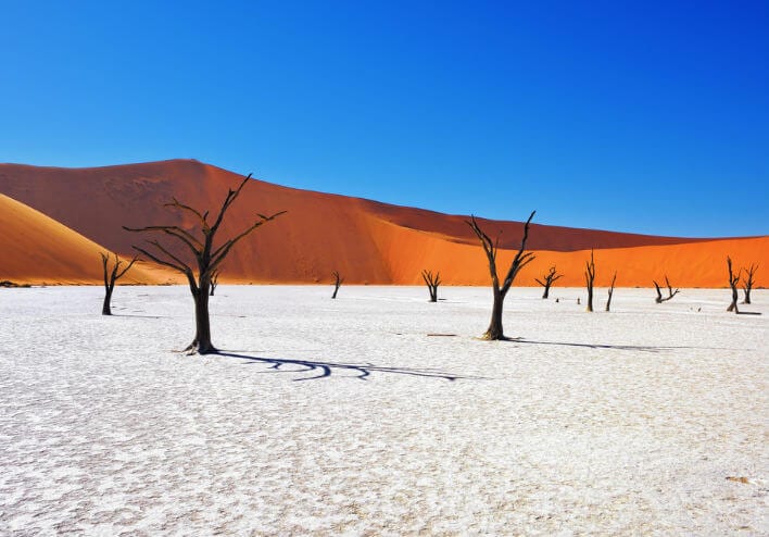 namibia-arboles-dunas