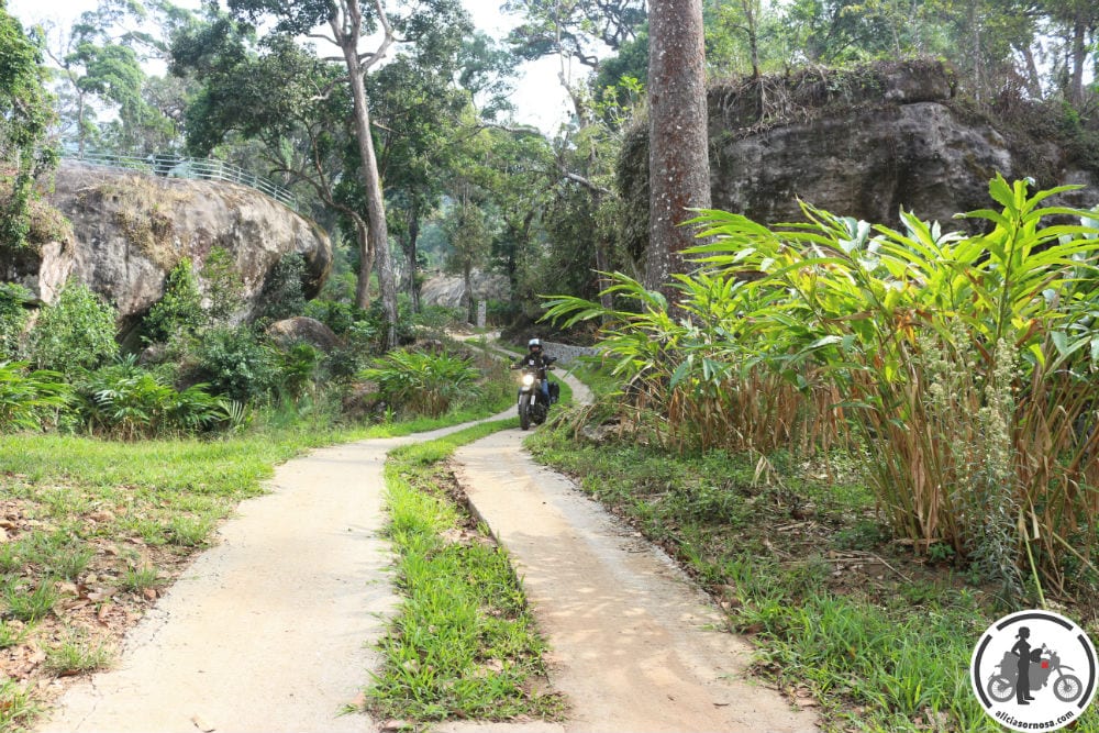 Viaje-India-Alicia-Sornosa