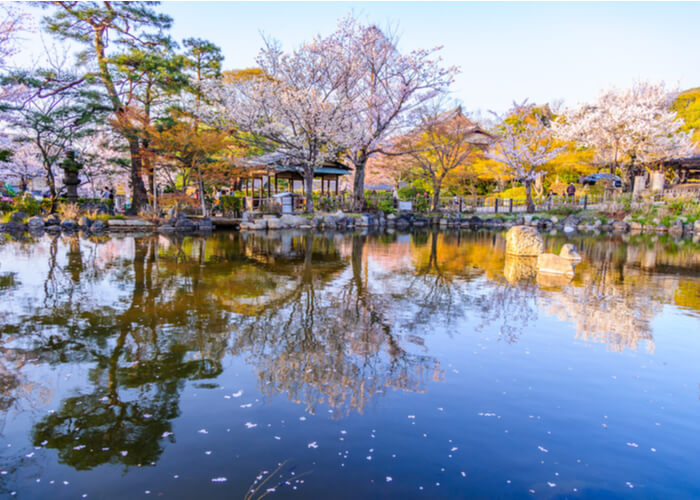 viaje_japon_floracion_cerezos_kioto