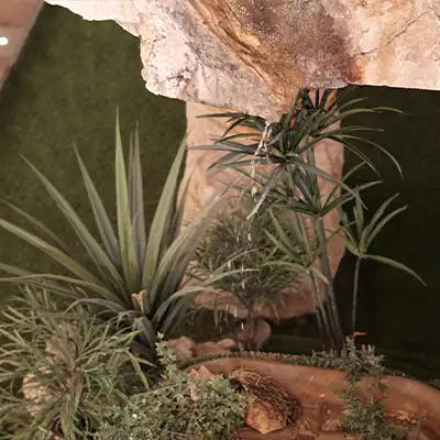 agencia-viajes-vigo-pangea.webp - Pangea Viajes