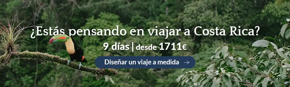 banner-costa-rica-blog-d.webp - Pangea Viajes