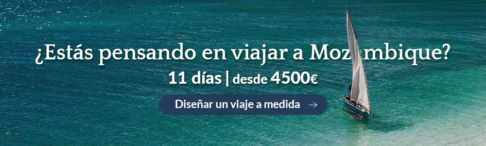 banner-mozambique-blog-d.webp - Pangea Viajes