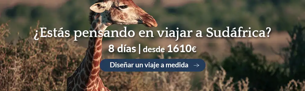 banner-sudafrica-blog-d.webp - Pangea Viajes