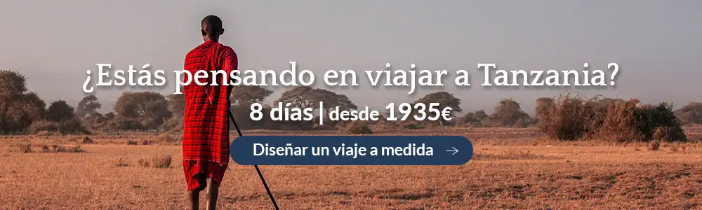 banner-tanzania-blog-d.webp - Pangea Viajes