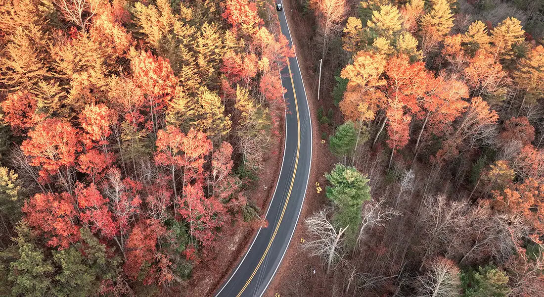 Carretera entre árboles con colores de otoño en la Costa Este