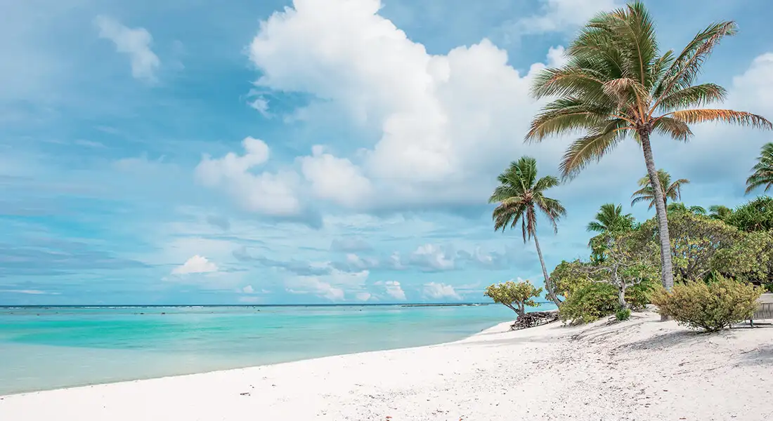 blog-bounty-isla-de-brando-tetiaora-1.webp - Pangea Viajes