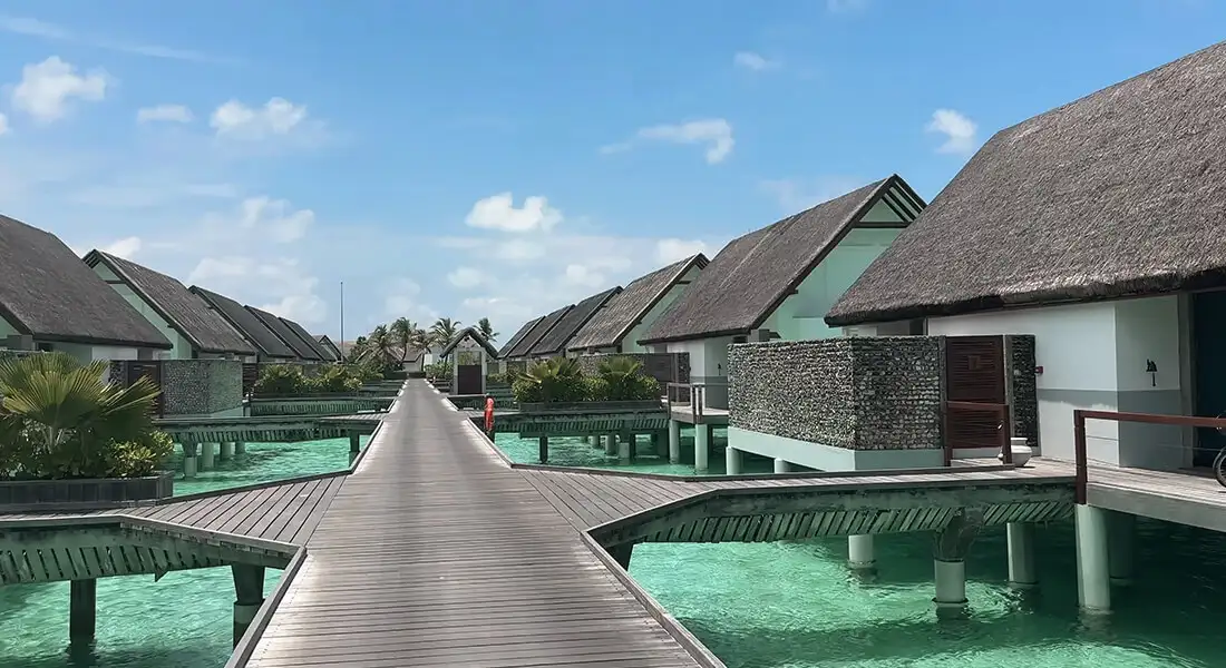 blog-bungalows-de-donde-viene-la-idea.webp - Pangea Viajes