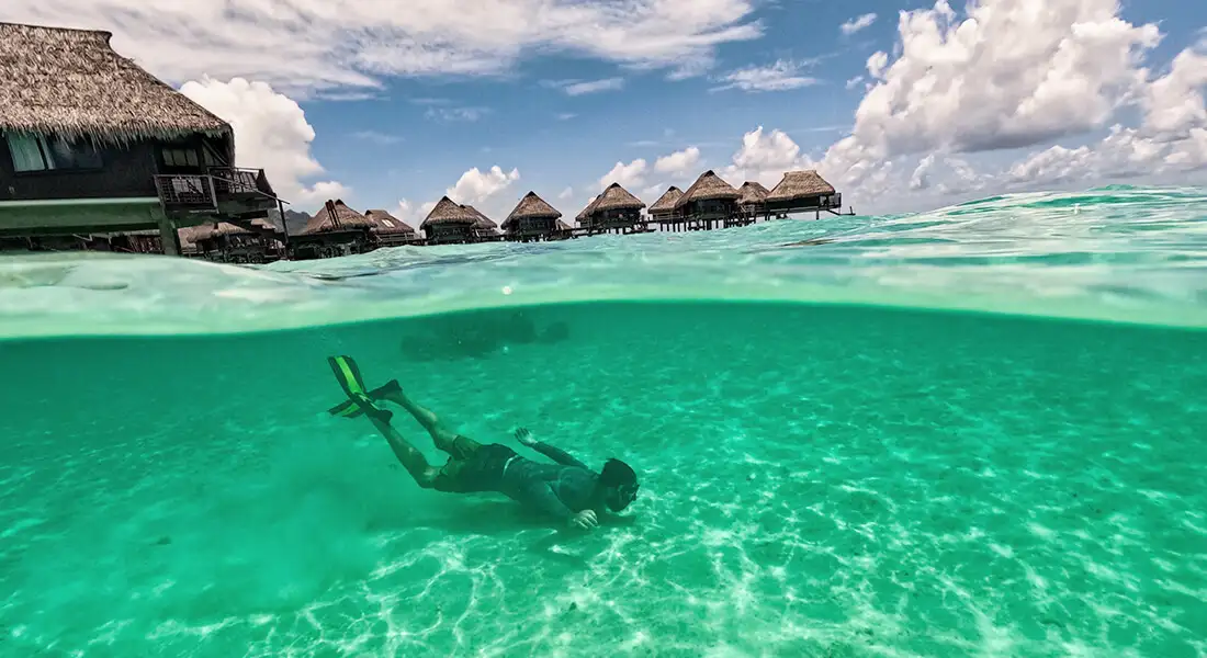 blog-bungalows-moorea.webp - Pangea Viajes