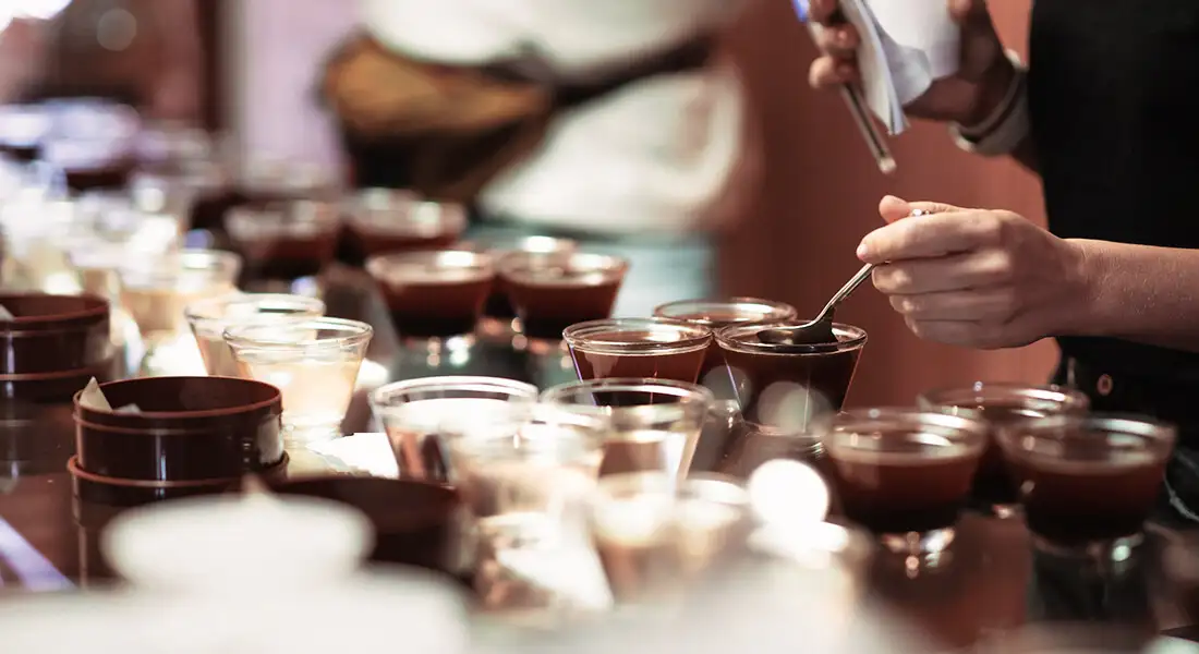 blog-cata-cafe-zona-cafetera-colombia.webp - Pangea Viajes