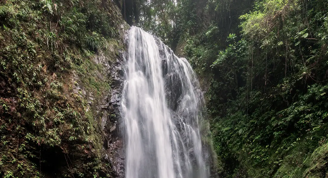 blog-catarata-el-tigre.webp - Pangea Viajes