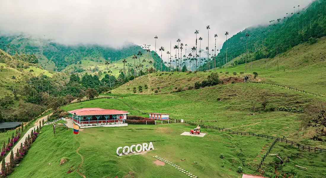 blog-cocora-zona-cafetera-colombia.webp - Pangea Viajes
