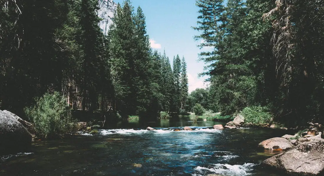 blog-consejos-yellowstone.webp - Pangea Viajes