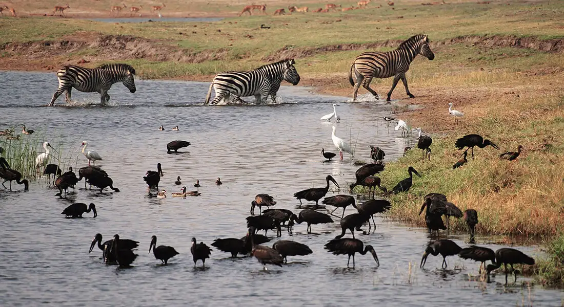 blog-ecoturismo-biodiversidad.webp - Pangea Viajes