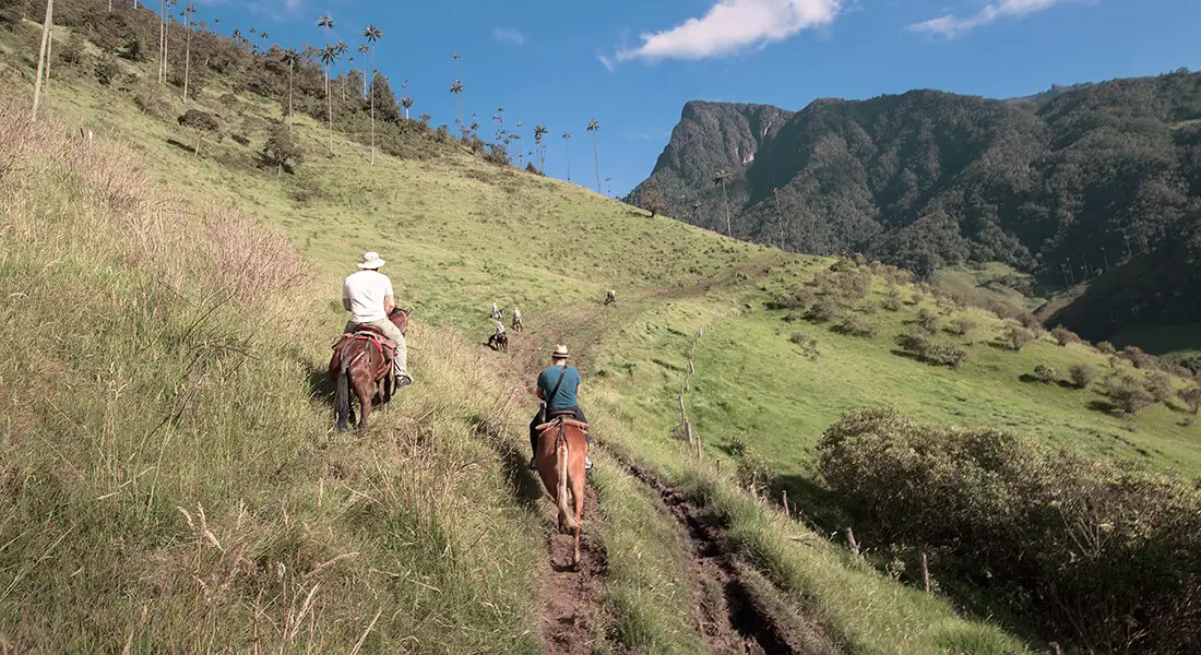 blog-excursiones-zona-cafetera-colombia.webp - Pangea Viajes