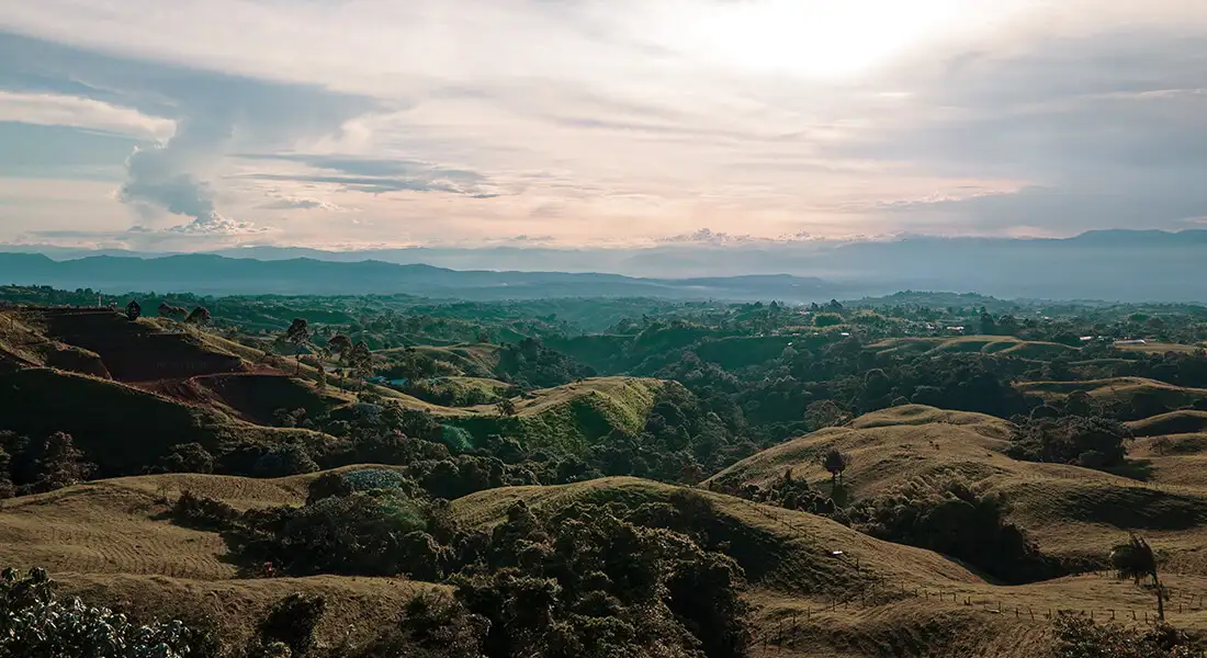 blog-filandia-cafe-zona-cafetera-colombia.webp - Pangea Viajes