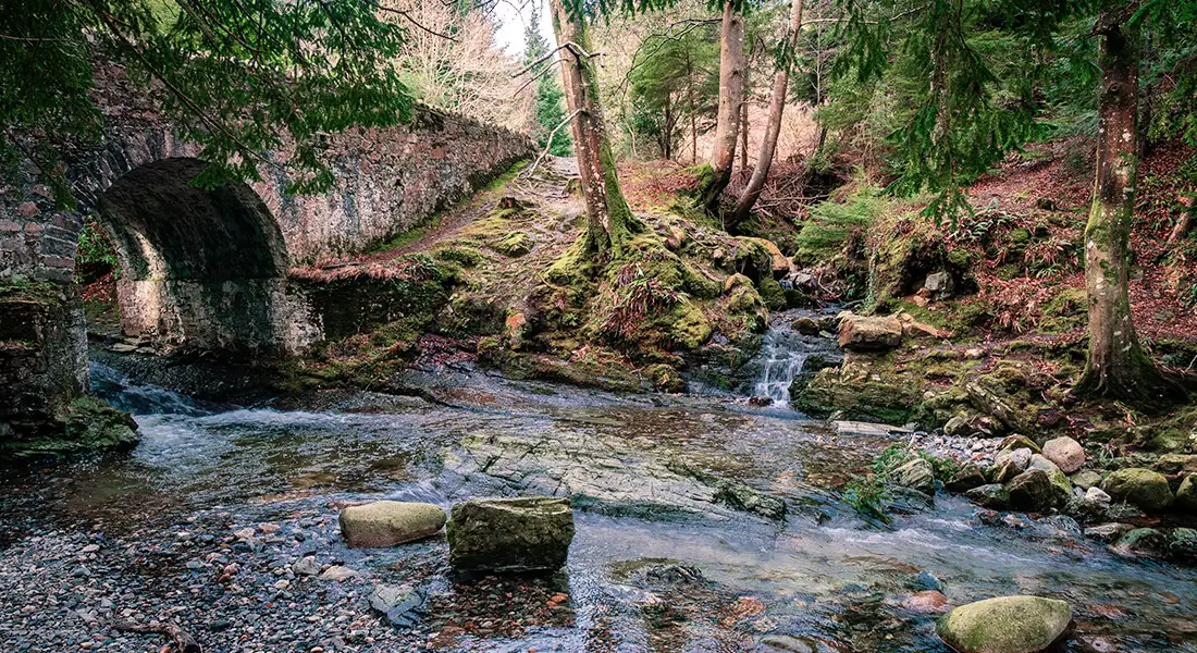 blog-got-bosque-y-camino-real.webp - Pangea Viajes