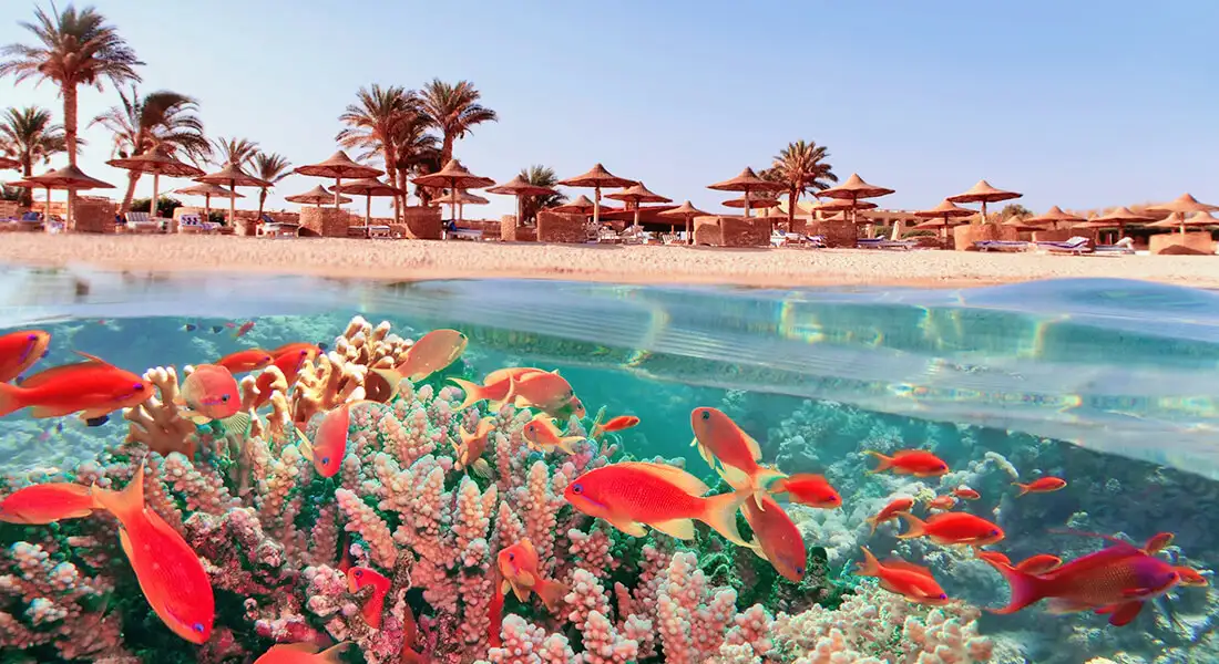 blog-mar-rojo-egipto.webp - Pangea Viajes