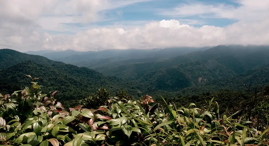 blog-mejores-destinos-slow-travel.webp - Pangea Viajes