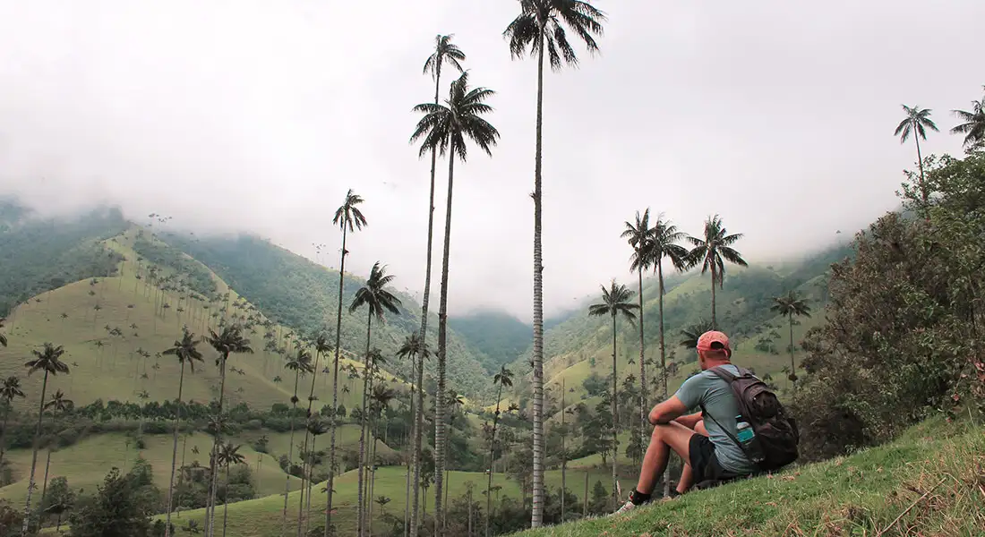 blog-miradores-zona-cafetera-colombia.webp - Pangea Viajes