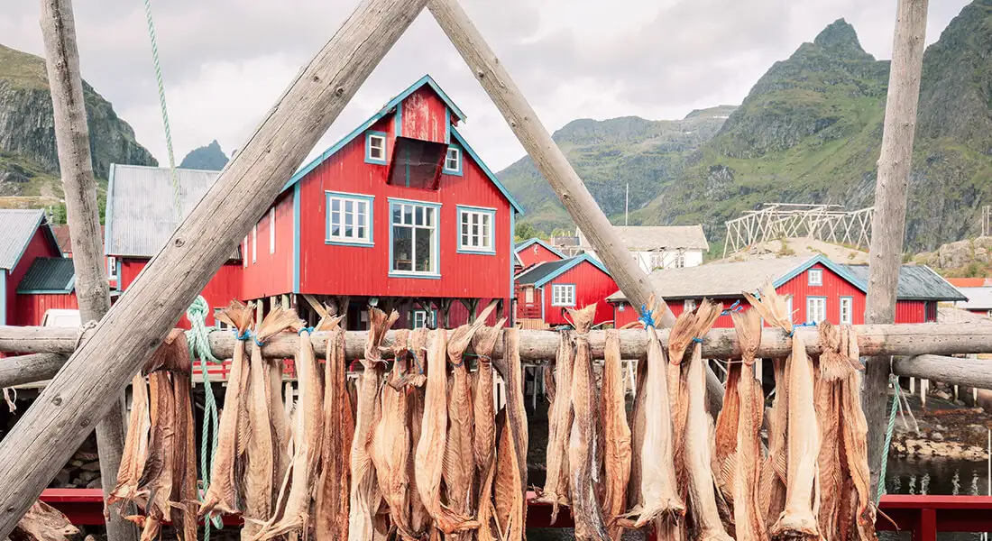 blog-pesca-noruega-combinar-con-jornadas-de-pesca.webp - Pangea Viajes