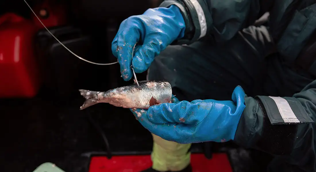 blog-pesca-noruega-equipo-experiencia.webp - Pangea Viajes