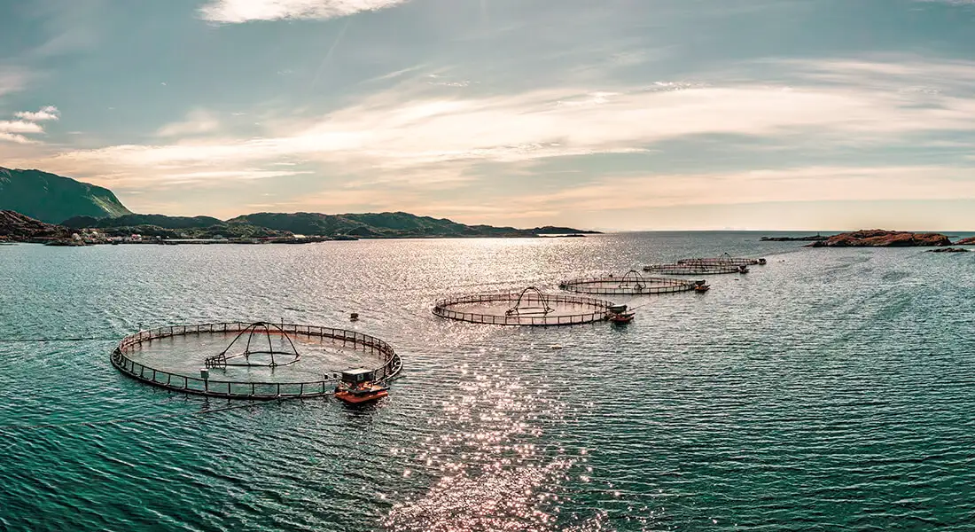 blog-pesca-noruega-pesca-de-salmon.webp - Pangea Viajes