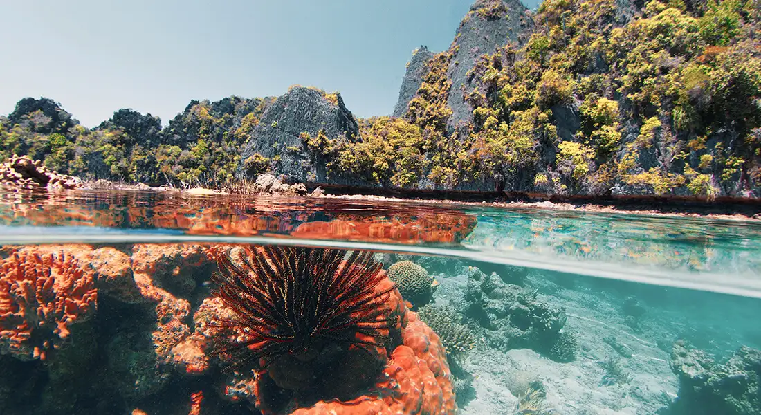 blog-raja-ampat-indonesia.webp - Pangea Viajes