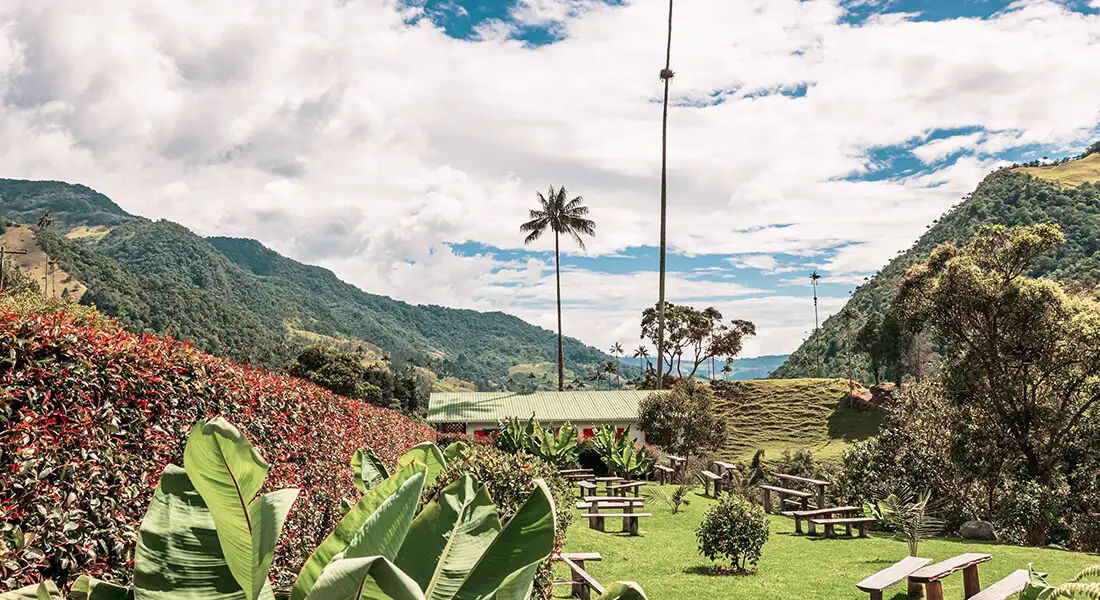 blog-salento-zona-cafetera-colombia.webp - Pangea Viajes