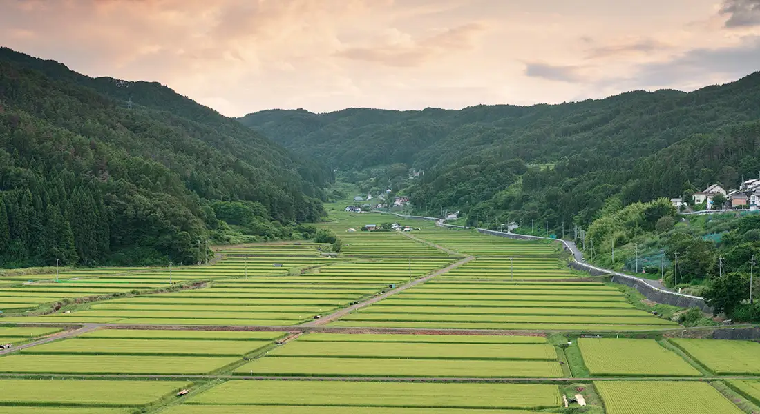 blog-slow-travel-japon.webp - Pangea Viajes
