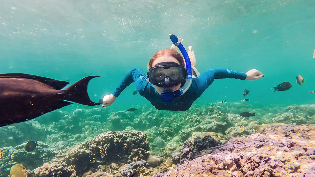 Aguas cristalinas y arrecifes vivos: los mejores lugares del mundo para hacer snorkel