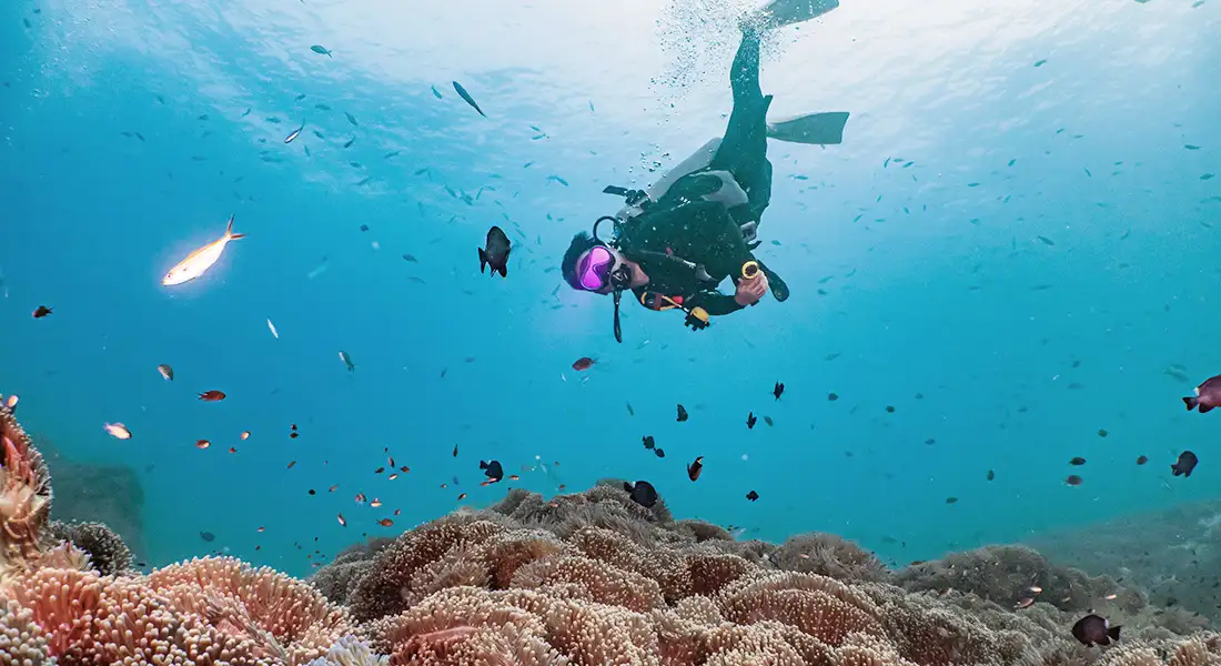 blog-tailandia-koh-tao.webp - Pangea Viajes