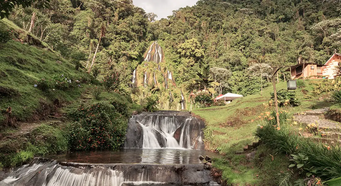 blog-termas-cafe-zona-cafetera-colombia.webp - Pangea Viajes