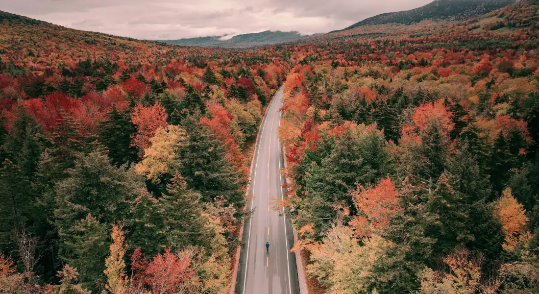 Carretera entre bosques con colores de otoño