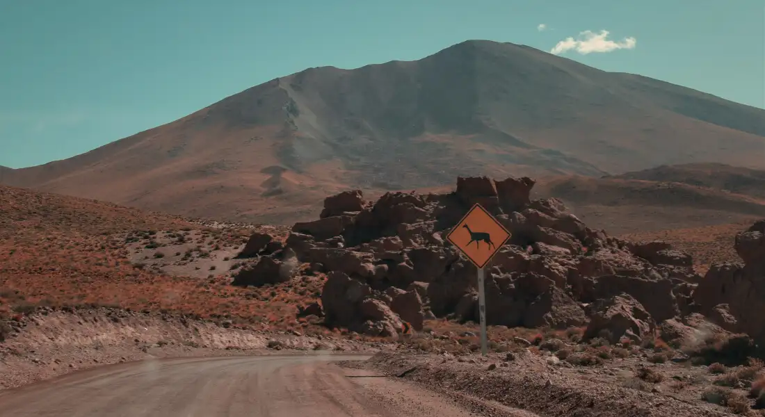 Camino de ripio con señalización de curva