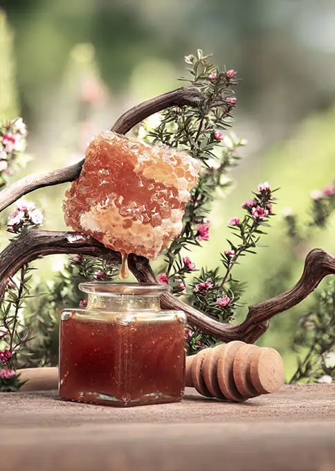 Comida típica de Nueva Zelanda