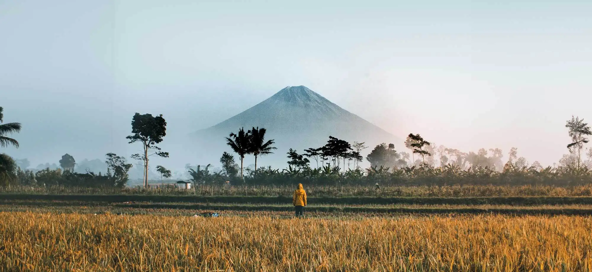 Consejos para viajar a Indonesia